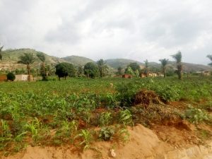 Nécessité de mise en place d’un fonds de garantie agricole