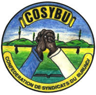 La Cosybu, contre la mesure du chef d’État