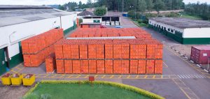 Rwibaga : les boissons prohibées comme plan B