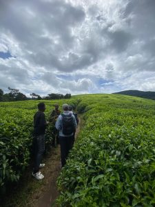 Tourisme burundais : potentiel en suspens
