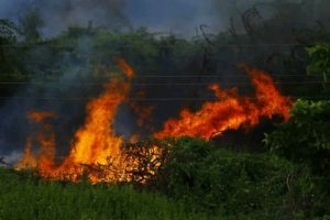 Les feux de brousse, un défi majeur pour la protection de l&rsquo;environnement